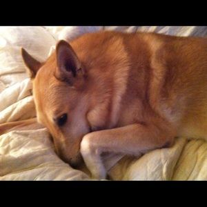 Meet your Posher, Maggie