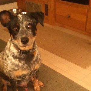 Meet your Posher, Eva