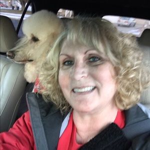 Meet your Posher, Ann