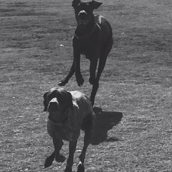 Meet your Posher, Angel