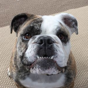 Meet your Posher, Sandy