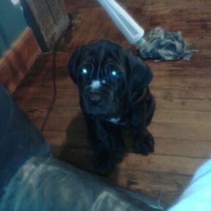 Meet your Posher, Tonya