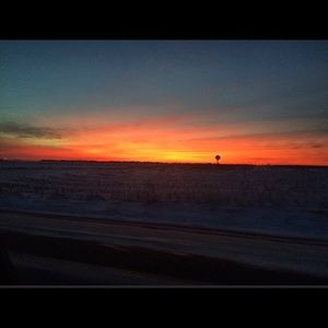 Meet your Posher, Shaelee