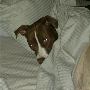 Meet your Posher, Donna