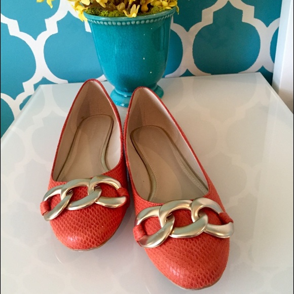 Banana Republic - Gorgeous Ballet flat 🌸👠