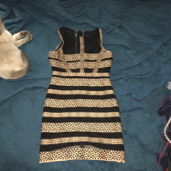 Nasty Gal tan & black mesh dress