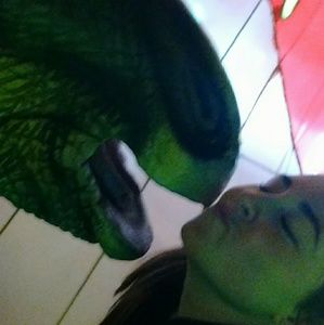 Meet your Posher, Karli