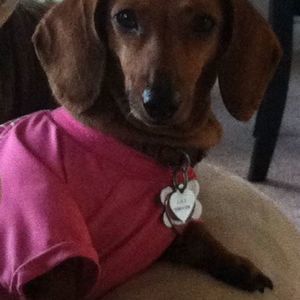 Meet your Posher, Enid