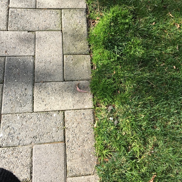 Meet your Posher, Daniela