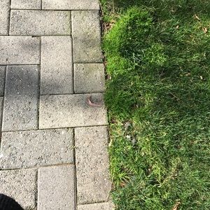 Meet your Posher, Daniela