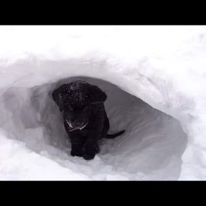 Meet your Posher, Emma