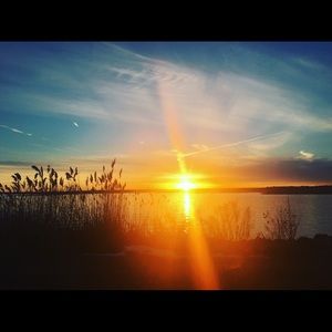 Meet your Posher, Cynthia