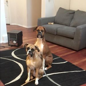 Meet your Posher, Kyriann