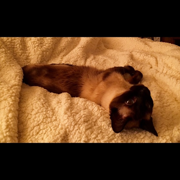 MEET YOUR SELLER - Picture 3 of 3