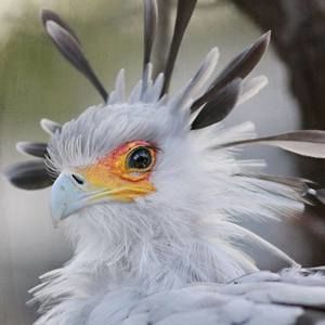 Meet your Posher, Beverly