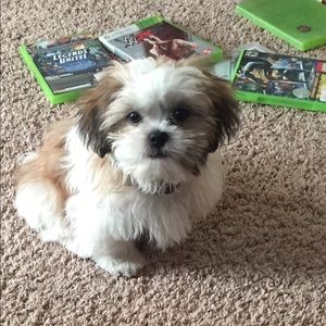 Meet your Posher, Raynisha