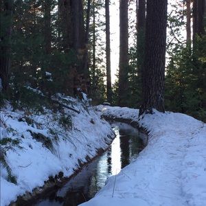 Meet your Posher, Mandi