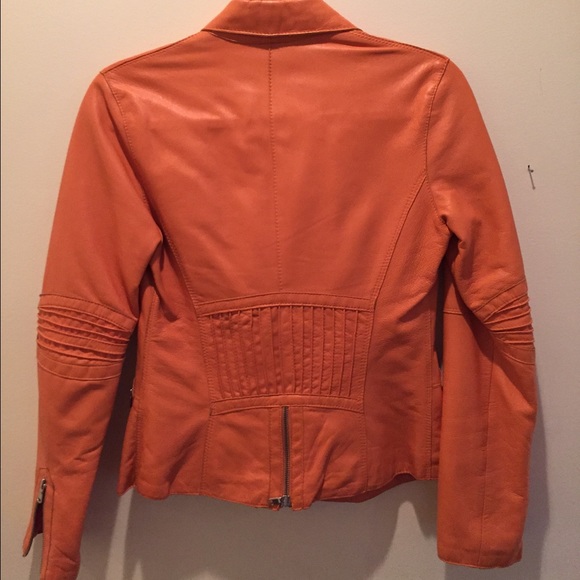 Leather Jacket - Picture 2 of 2