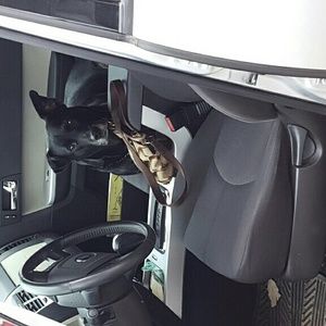 Meet your Posher, Amy