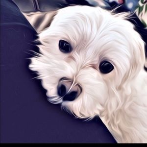 Meet your Posher, Tori