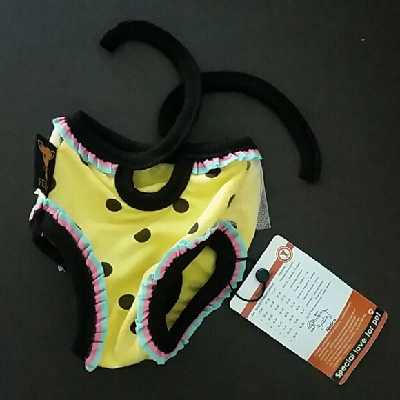 Dog Underwear.