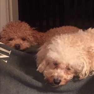 Meet your Posher, Juliann