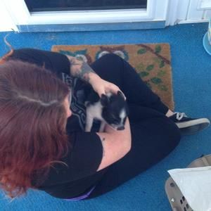 Meet your Posher, Emily