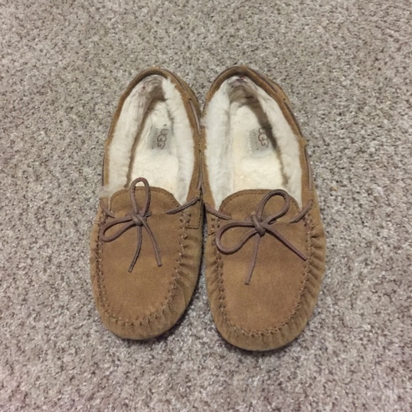 Moccasin chestnut