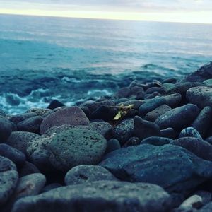 Meet your Posher, Corrine