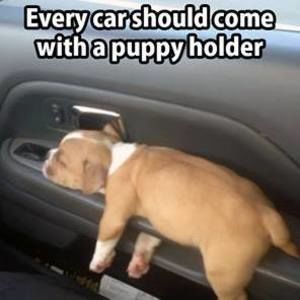 Meet your Posher, Ang