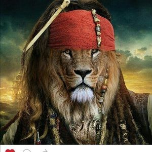 Meet your Posher, Belinda