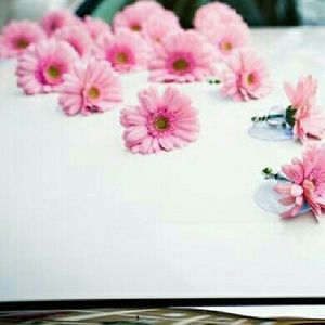 Meet your Posher, Lucia