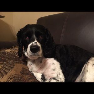 Meet your Posher, Stacey