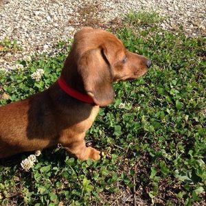 Meet your Posher, Lonnieandamy