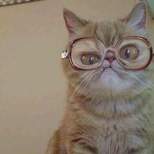 Meet your Posher, Lori