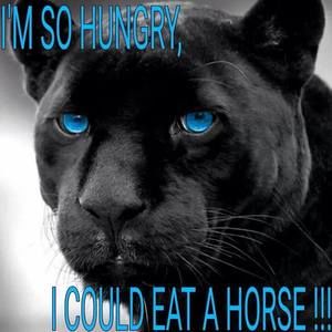 Meet your Posher, Suzy