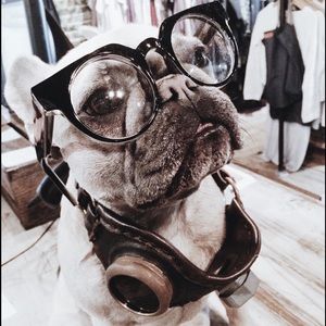 Meet your Posher, Skylar