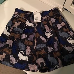Cat shorts!