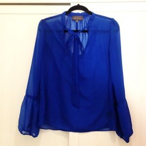 PJK sheer pussy bow blouse