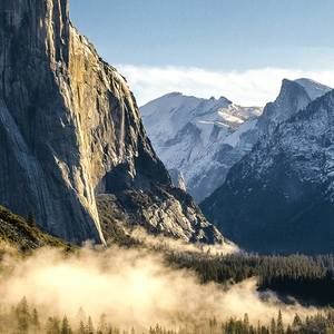 Meet your Posher, Aisha