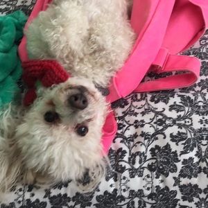 Meet your Posher, Karina