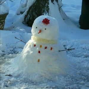 Meet your Posher, Ann