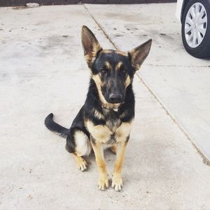 Meet your Posher, Gaby