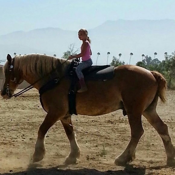 Meet your Posher, Kellie