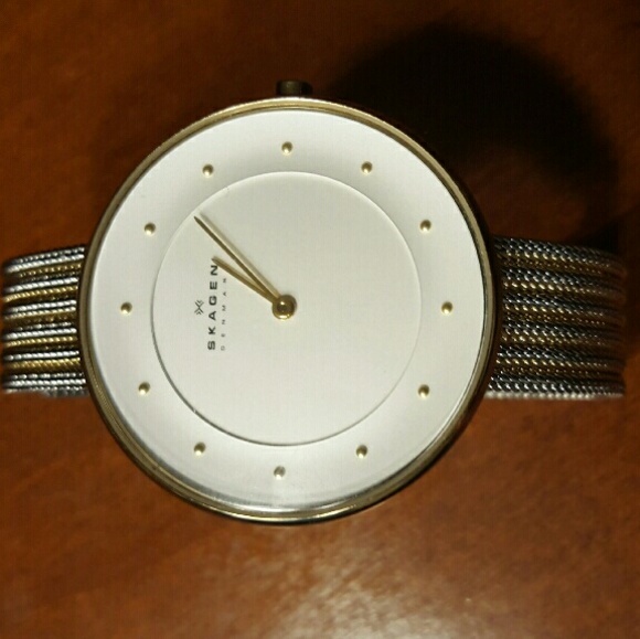 SKAGEN women's silver/gold mesh watch