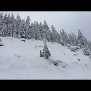 Meet your Posher, Joan