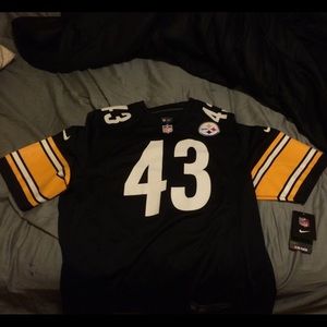 Troy polamalu jersey