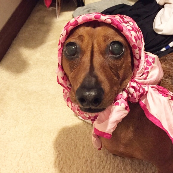 Meet your Posher, Mary - Picture 2 of 4