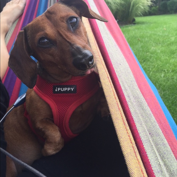 Meet your Posher, Mary - Picture 3 of 4