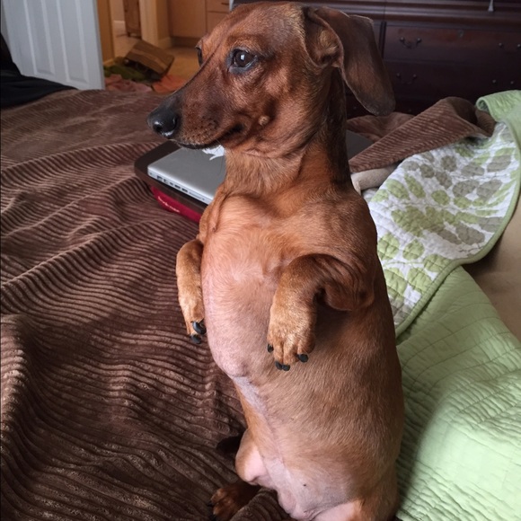 Meet your Posher, Mary - Picture 4 of 4